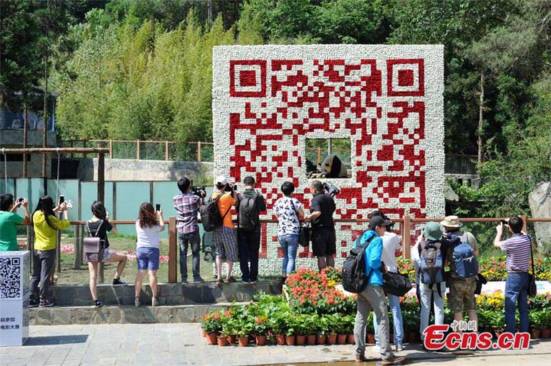 Les visiteurs sont attirés par un code QR à deux dimensions géant, constitué de plus de 20 000 fleurs et dans lequel on aper?oit le panda géant Sijia, au Yunnan Safari Park dans la Province du Yunnan en Chine du Sud, le 19 mai 2014. [Photo/China News Service].