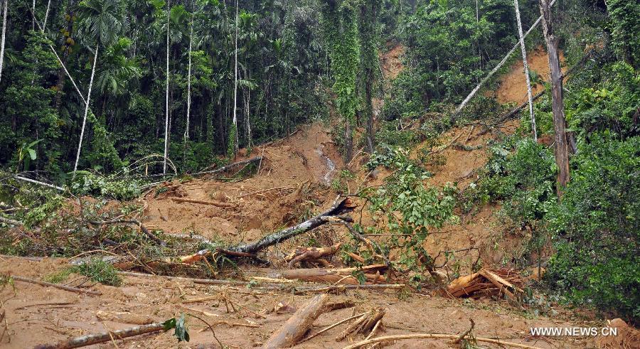 Sri Lanka : des pluies torrentielles font 23 morts et des milliers de déplacés 