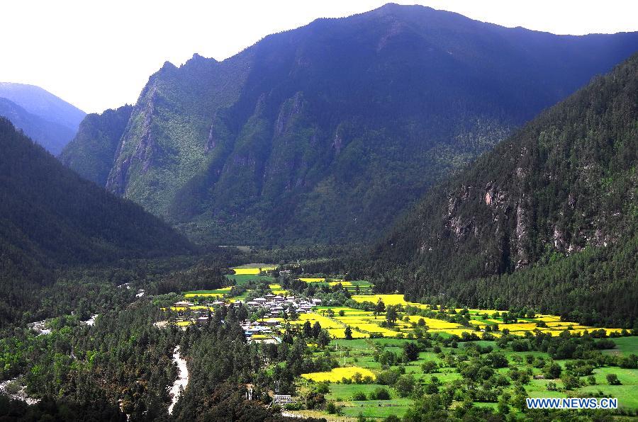 Chine: beaux paysages dans la préfecture de Nyingchi au Tibet