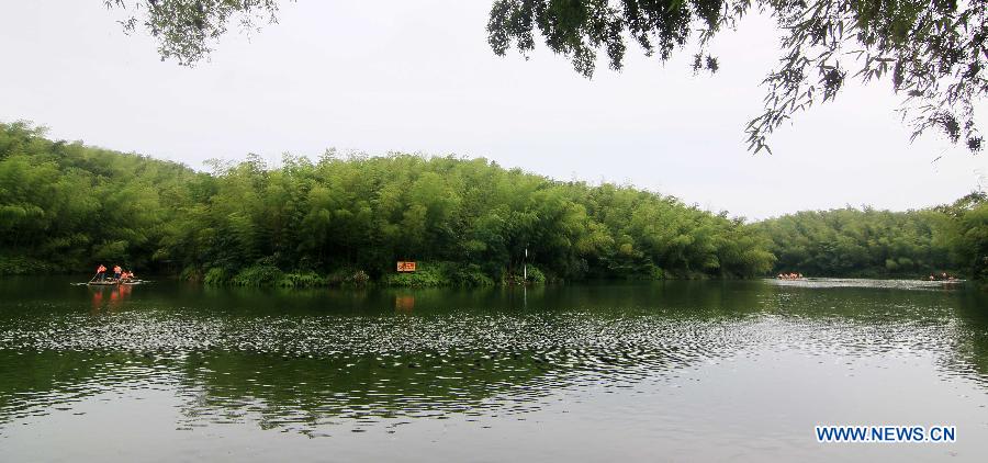 Beaux paysages de la mer de bambou à Yibin