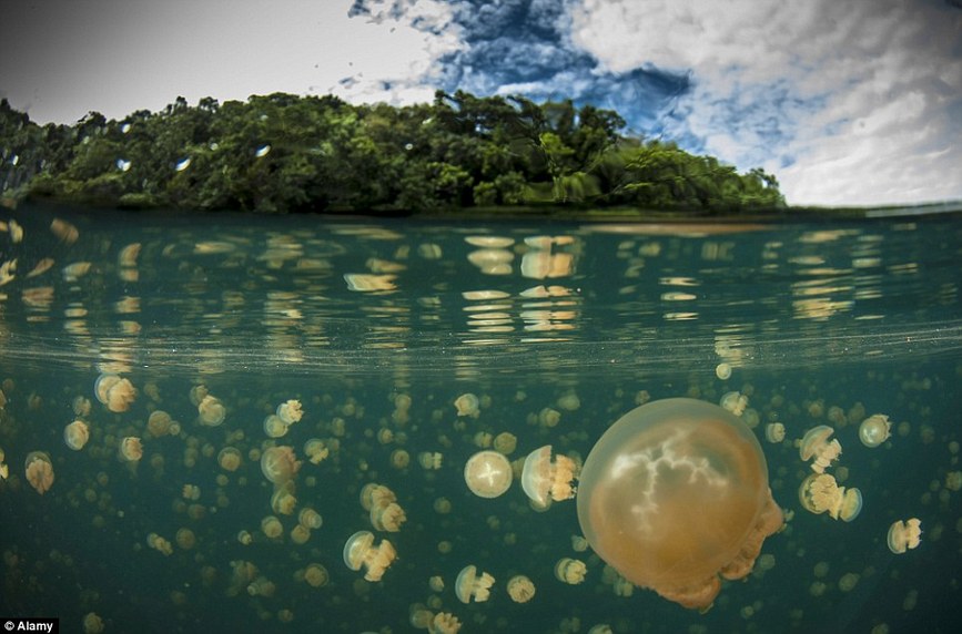 Photos: des lacs extraordinaires dans le monde