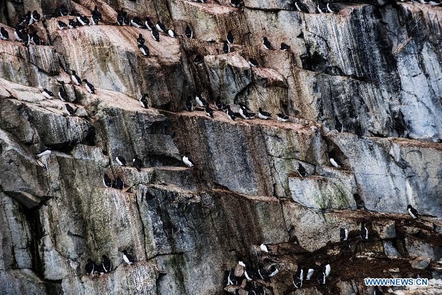 Photos : le Svalbard dans l'Arctique 