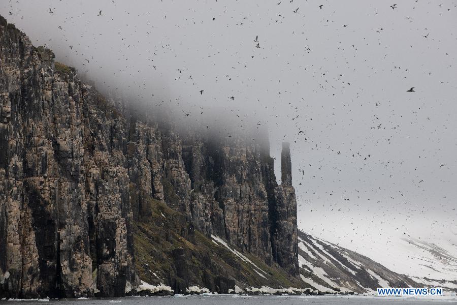 Photos : le Svalbard dans l'Arctique 