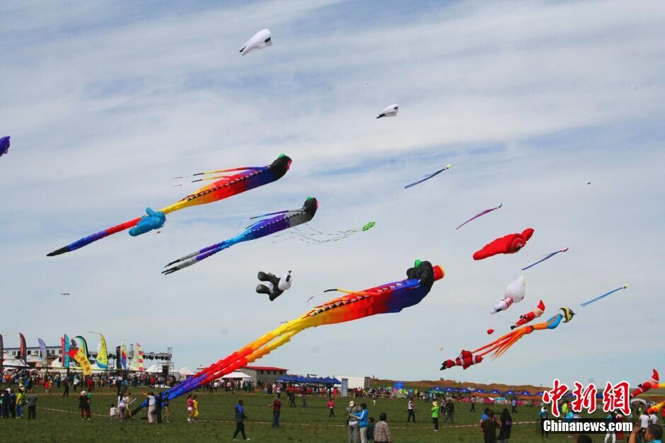 Premier festival du cerf-volant des prairies de Hohhot