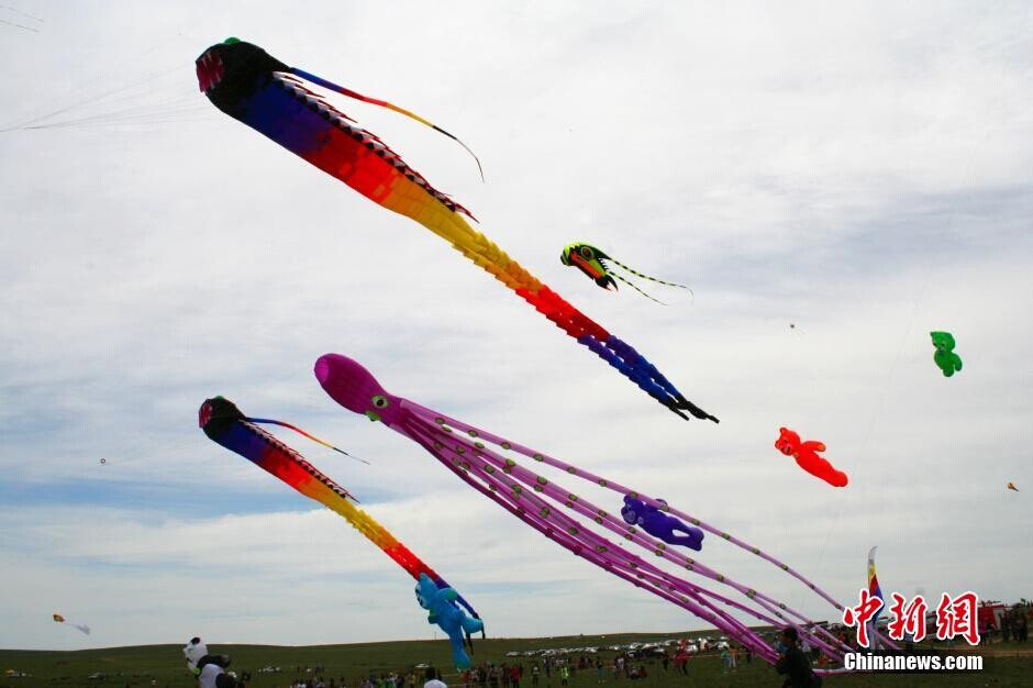 Premier festival du cerf-volant des prairies de Hohhot