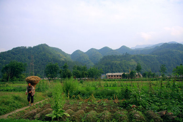 La ville de Qingmuchuan, dans le Comté de Ningqiang