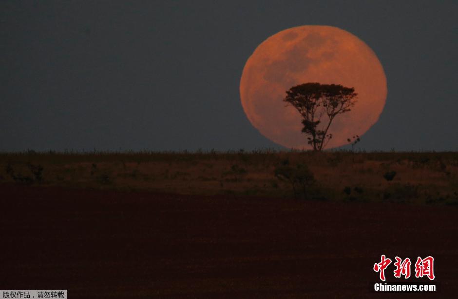 A Brasilia, Brésil