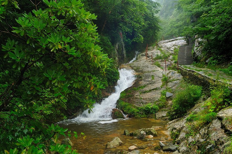 Les Monts Qingling souhaitent devenir une ? terre sainte du tourisme écologique ?