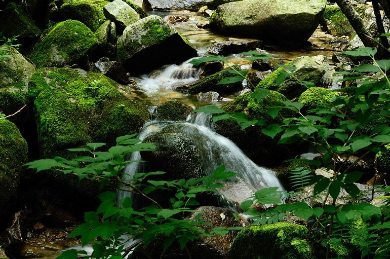 Les Monts Qingling souhaitent devenir une ? terre sainte du tourisme écologique ?