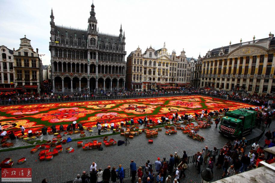 Le 19e tapis de fleurs de Bruxelles