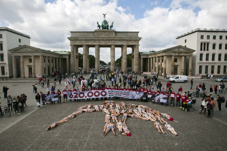 Allemagne: des cirques sans animaux sauvages