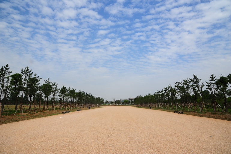 Les sites du patrimoine mondial de la Route de la Soie - les ruines du Palais Weiyang des Han à Chang'an