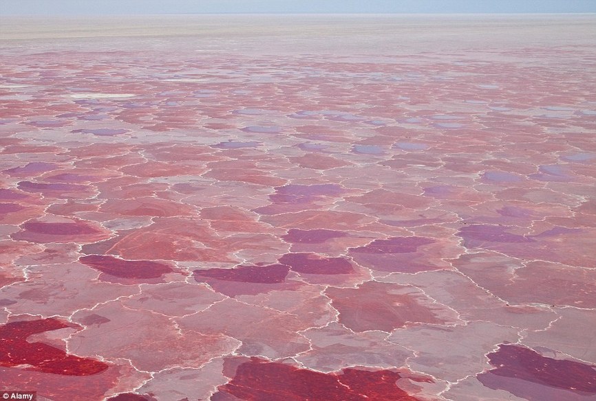 Le lac Natron, Tanzanie