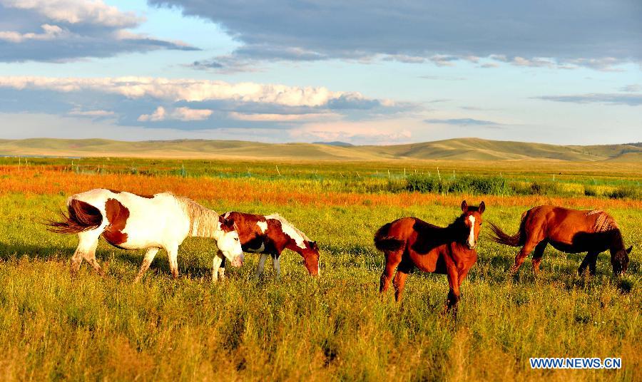 Chine: beaux paysages de la prairie de Hulunbuir