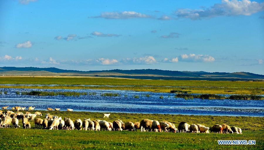 Chine: beaux paysages de la prairie de Hulunbuir