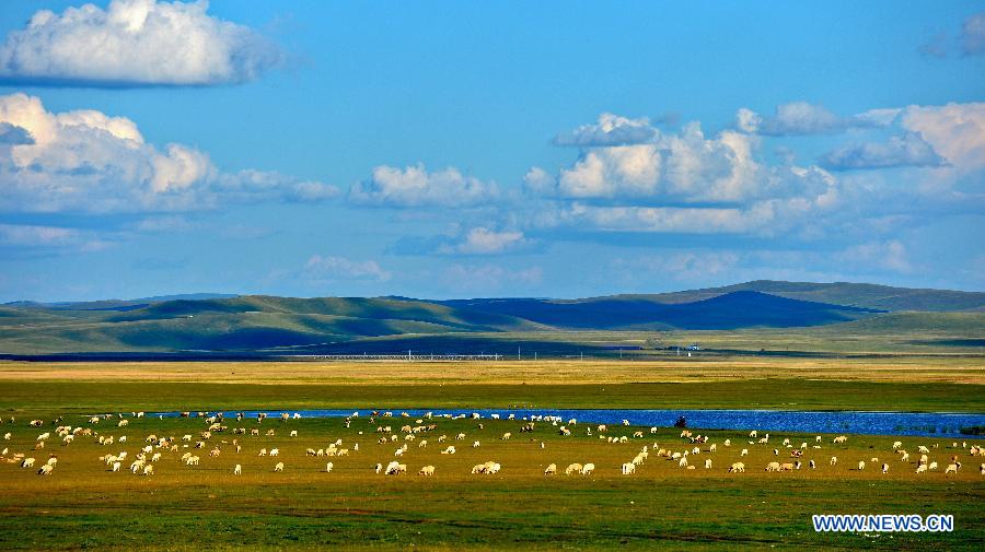 Chine: beaux paysages de la prairie de Hulunbuir