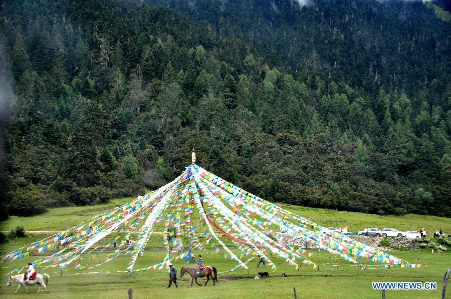 Paysages pittoresques dans le district de Linzhi au Tibet