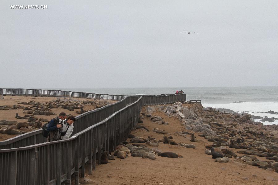 EN IMAGES: La réserve des otaries à fourrure de Cape Cross en Namibie