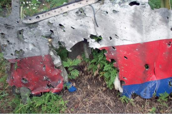 Crash du Vol MH17 : les experts néerlandais s'activent 