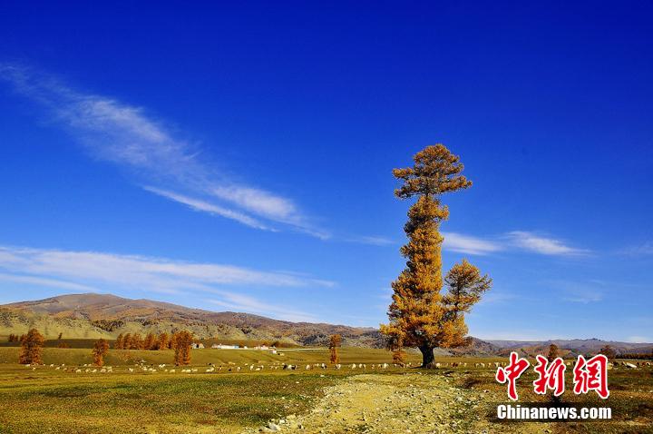 Xinjiang : l'automne coloré des prairies de Balikun et de Nailenggeer