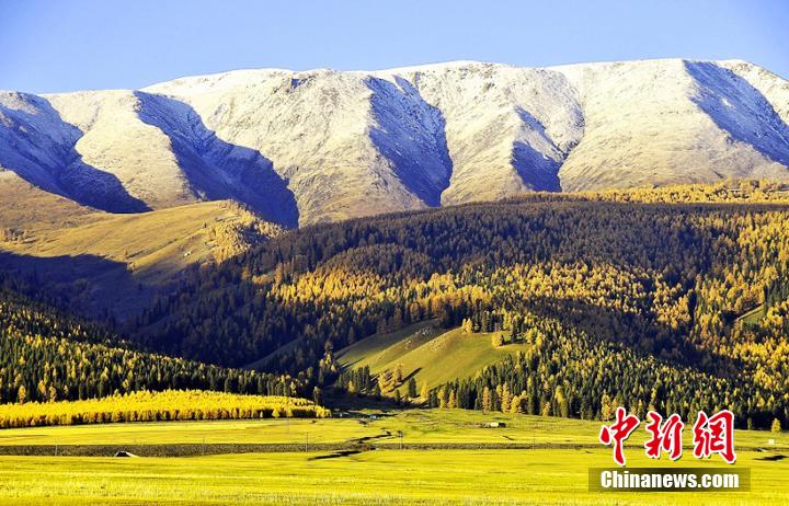 Xinjiang : l'automne coloré des prairies de Balikun et de Nailenggeer