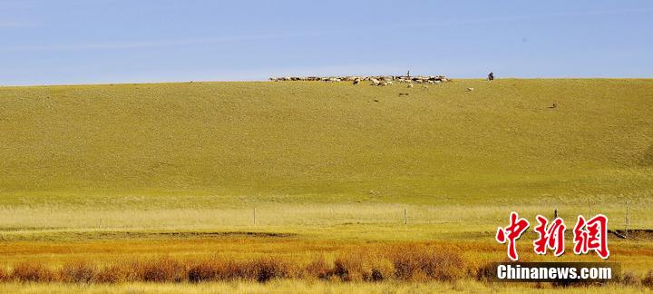 Xinjiang : l'automne coloré des prairies de Balikun et de Nailenggeer