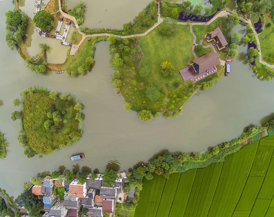 Ce cliché pris le jeudi 18 septembre montre une partie de la seconde phase du Parc écologiques des zones humides de Tuying à Changxing, la province du Zhengjiang (est de la Chine). Ouverte aux touristes depuis lundi, la nouvelle section se compose de cinq petites ?les connectées entre elles par des allées en pierre. Situé près du lac Taihu, le site couvre une superficie de 3,3 kilomètres carrés et doté notamment d'un vivier, d’une voie d’eau, de roseaux, d’un étang de lotus et d’une zone d’observation d’oiseaux. L’endroit idéal pour se promener et se familiariser avec l'agriculture écologique. [Photo/Xinhua]