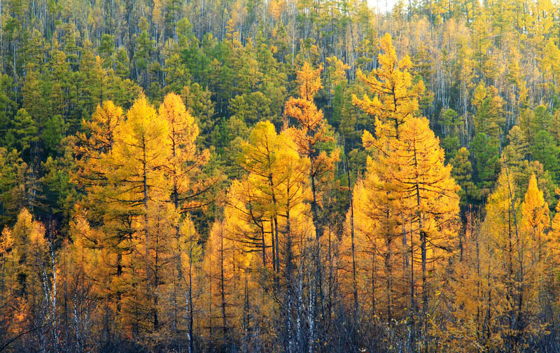 La chaine du Grand Khingan en automne.