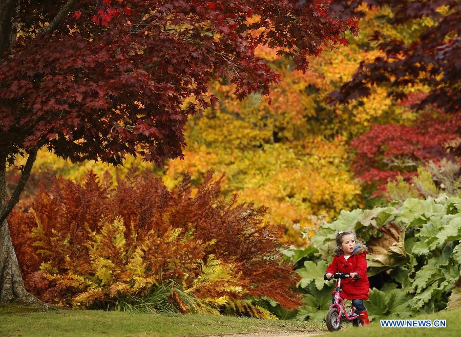 EN IMAGES: la beauté de l'automne