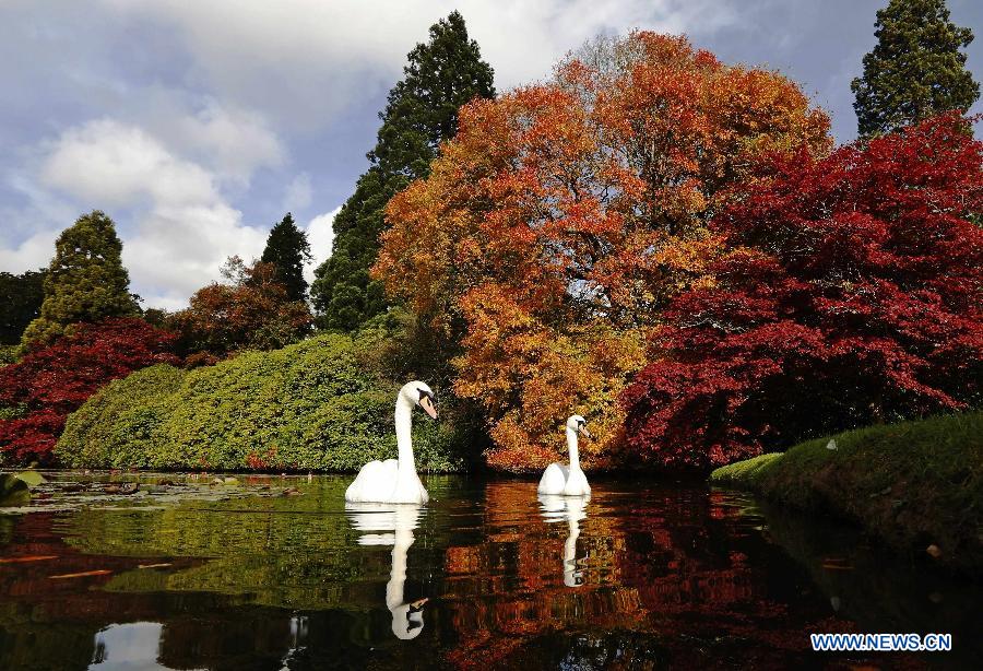 EN IMAGES: la beauté de l'automne