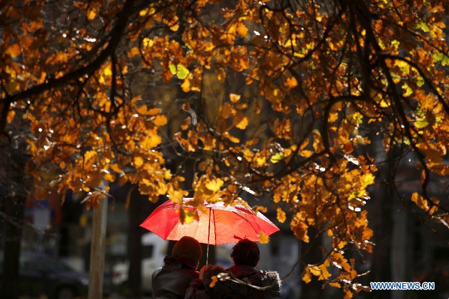 EN IMAGES: la beauté de l'automne