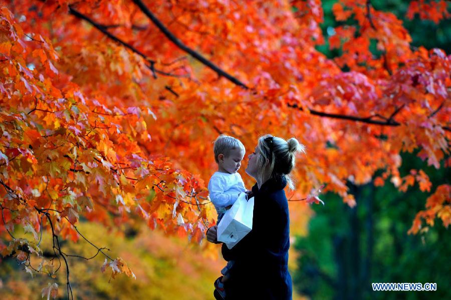 EN IMAGES: la beauté de l'automne