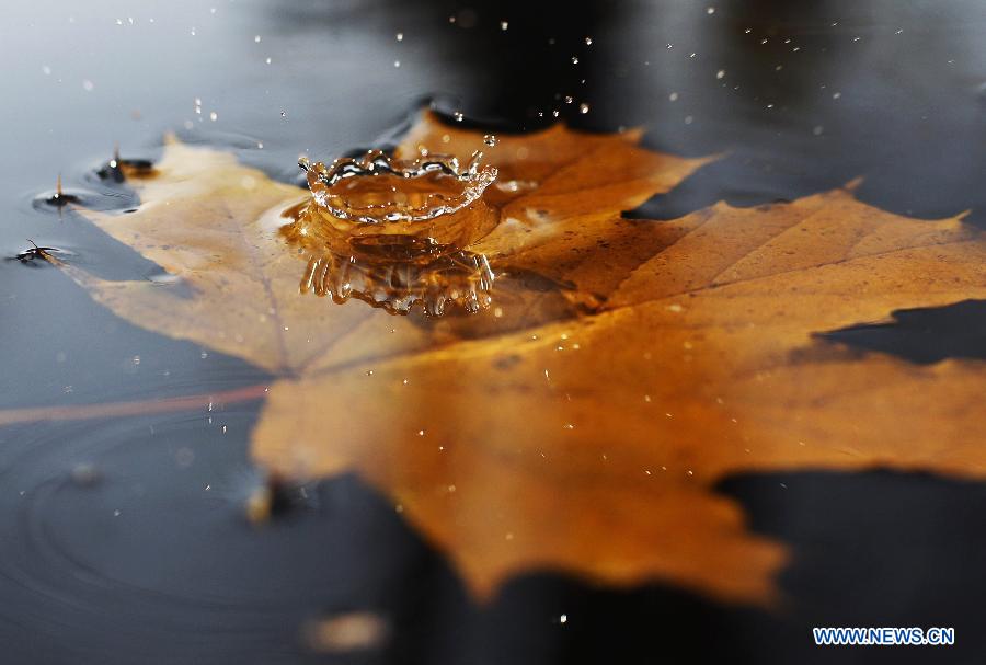 EN IMAGES: la beauté de l'automne