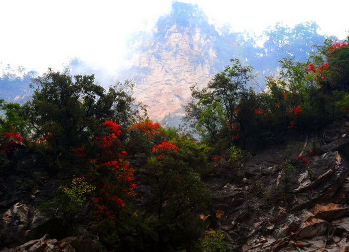 Bienvenue au Canyon de Jinsi à Qinling !