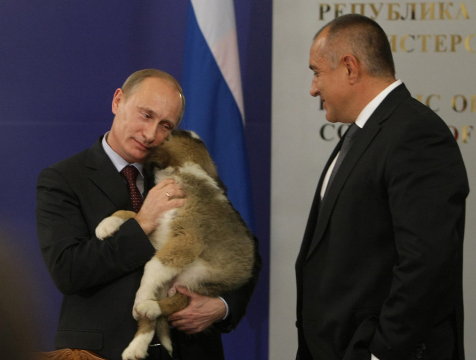 Le Premier ministre russe Vladimir Poutine prend dans ses bras un chien berger offert en cadeau par le Premier ministre bulgare Bo?ko Borissov lors de sa visite en Bulgarie (cliché pris le 13 novembre 2010 à Sofia).