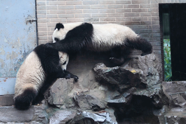 Kung Fu Panda à Hangzhou