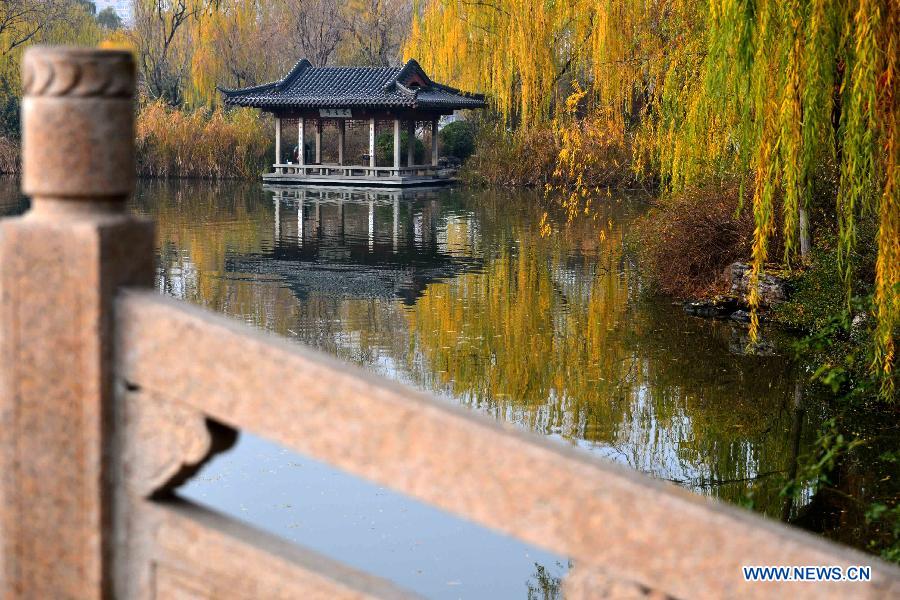 Chine: paysage au bord du lac Daming à Ji'nan