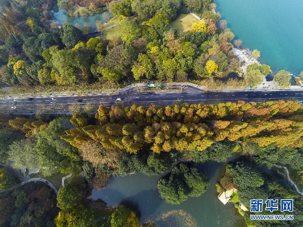 Une saison multicolore au Lac de l’Ouest