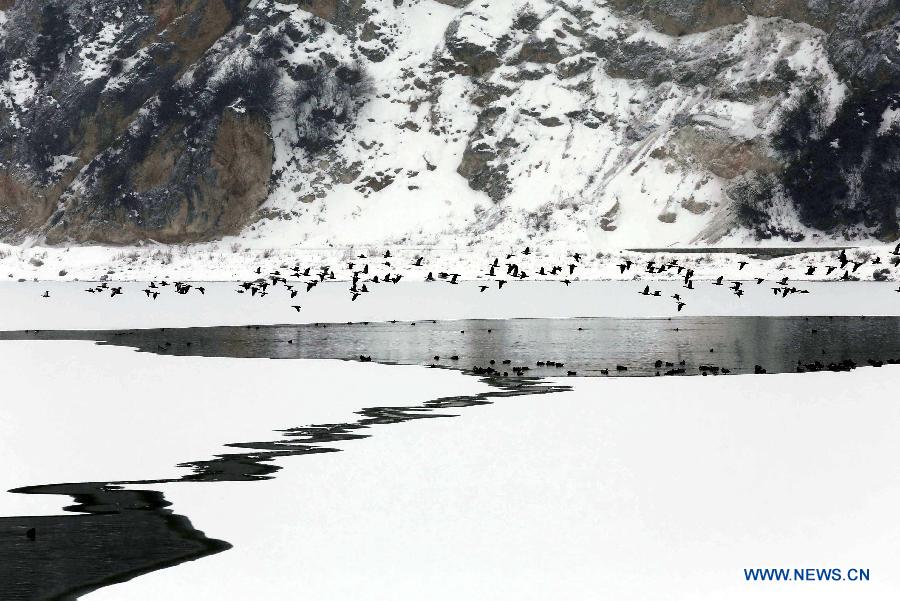 Paysages étonnants du Lac Napahai, au Shangri-La