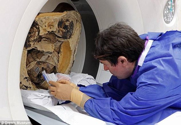 Un chercheur examine des morceaux de papiers portant des caractères chinois anciens, retrouvés à l’intérieur du Bouddha.