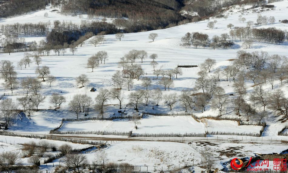 Des steppes mongoliennes resplendissantes