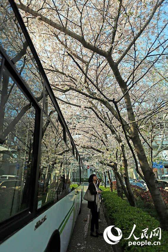 Shanghai : la plus belle station de bus en fleurs