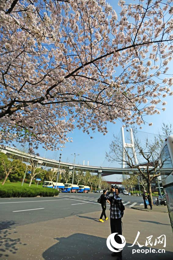 Shanghai : la plus belle station de bus en fleurs