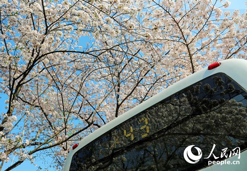 Shanghai : la plus belle station de bus en fleurs