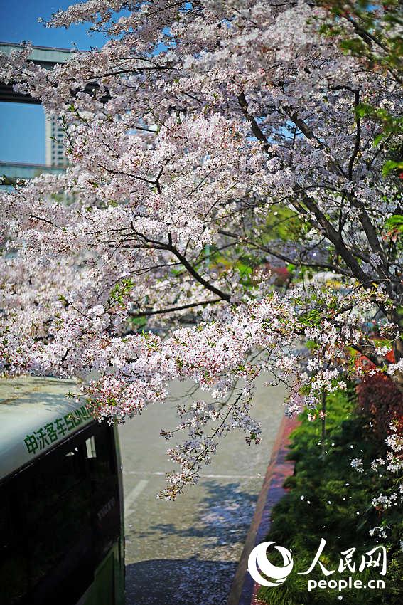 Shanghai : la plus belle station de bus en fleurs