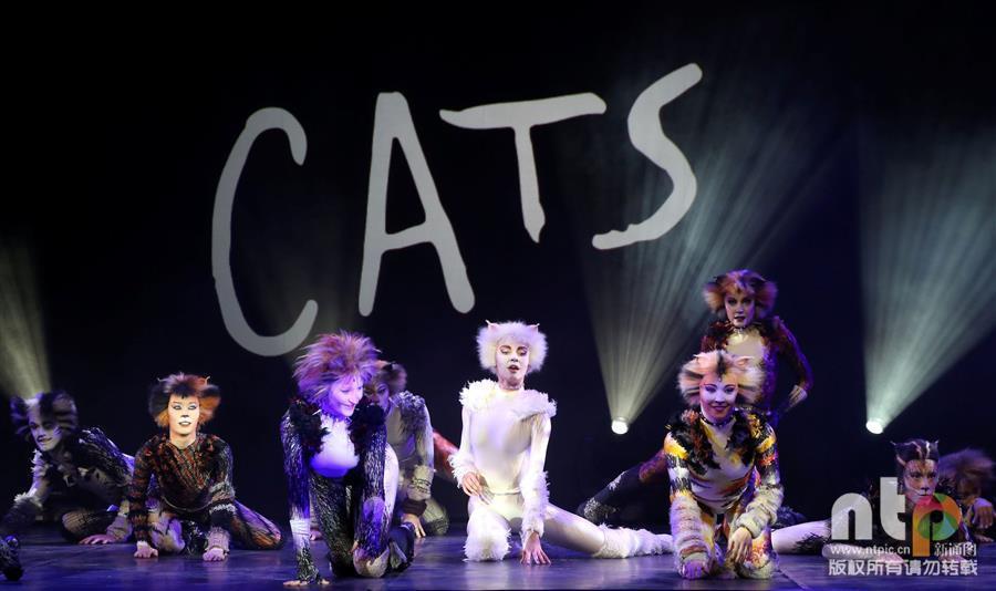 La comédie musicale "Cats" à Paris