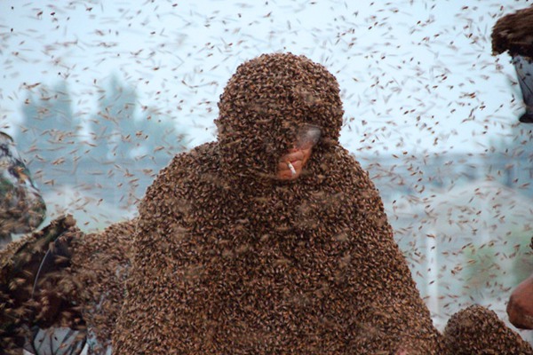 L'apiculteur Gao Bingguo a été recouvert de 109,05 kg d'abeilles sur tout le corps, à Liangzhuang dans la ville de Taishan, la province du Shandong (est de la Chine), le 25 mai 2015 [Photo/CFP]