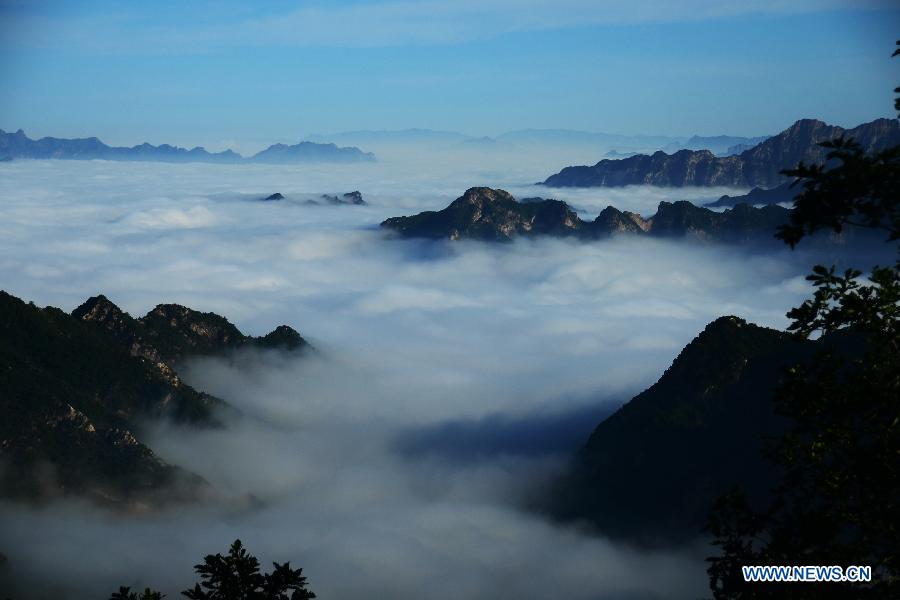 Photos - la mer de nuages au-dessus d'un réservoir