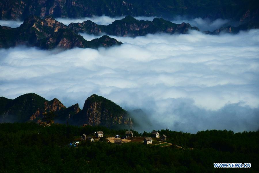 Photos - la mer de nuages au-dessus d'un réservoir