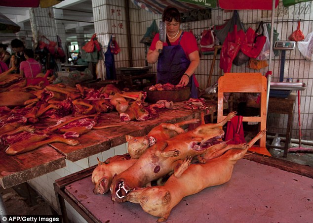 Festival de viande de chien : une Chinoise héro?que pour sauver ces petites bêtes